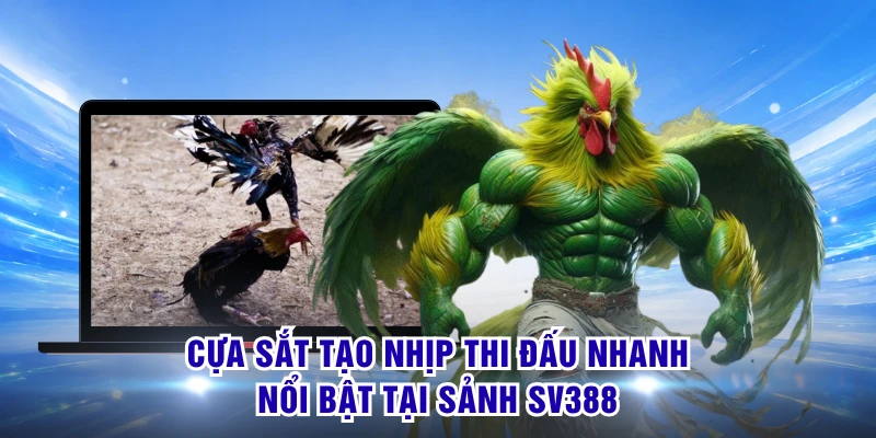 Cựa sắt tạo nhịp thi đấu nhanh nổi bật tại sảnh SV388