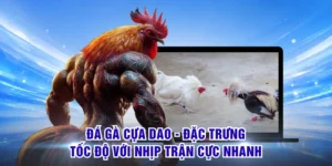 Đá Gà Cựa Dao - Đặc Trưng Tốc Độ Với Nhịp Trận Cực Nhanh