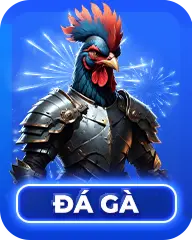 da ga s8 8
