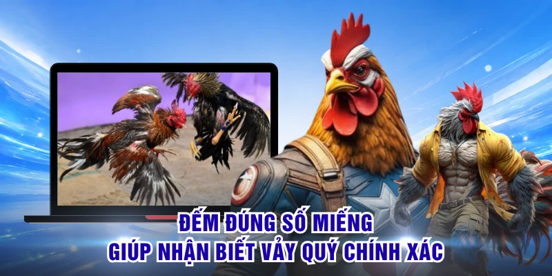 Vảy Tam Tài Tứ Quý - Đặc Điểm Nhận Biết Qua Dáng Vảy Đẹp 2 Đếm đúng số miếng giúp nhận biết vảy quý chính xác