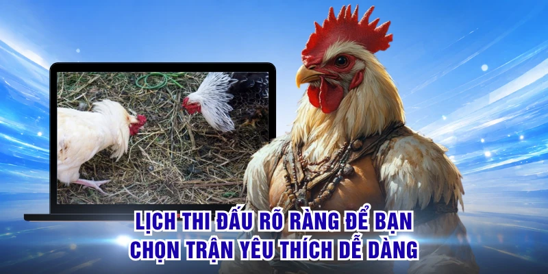 Lịch thi đấu rõ ràng để bạn chọn trận yêu thích dễ dàng