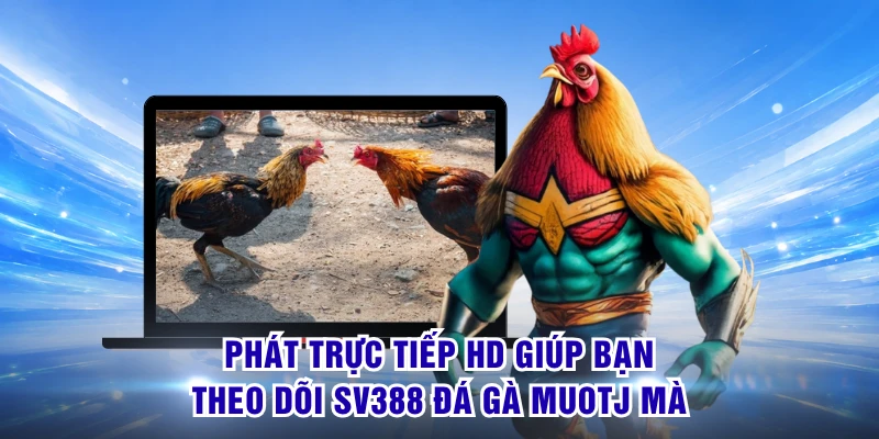 Phát trực tiếp HD giúp bạn theo dõi SV388 đá gà muotj mà