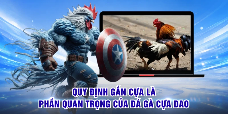Đá Gà Cựa Dao - Đặc Trưng Tốc Độ Với Nhịp Trận Cực Nhanh 1 Quy định gắn cựa là phần quan trọng của đá gà cựa dao
