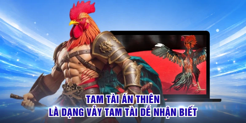 Vảy Tam Tài Tứ Quý - Đặc Điểm Nhận Biết Qua Dáng Vảy Đẹp 3 Tam tài án thiên là dạng vảy tam tài dễ nhận biết