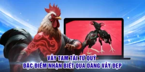 Vảy Tam Tài Tứ Quý - Đặc Điểm Nhận Biết Qua Dáng Vảy Đẹp
